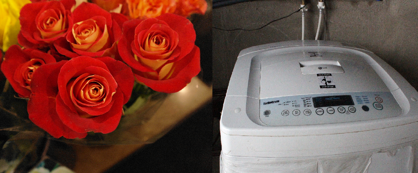 Fair Trade Romance? Why Fair Trade Flowers Matter on...